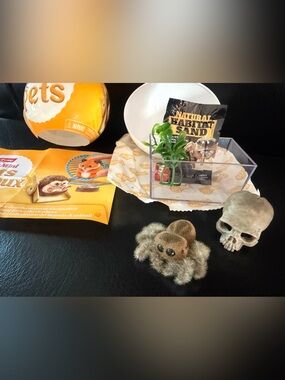 Zuru My Mini Pets SPIDER series 1 mini brands animals TARANTULA